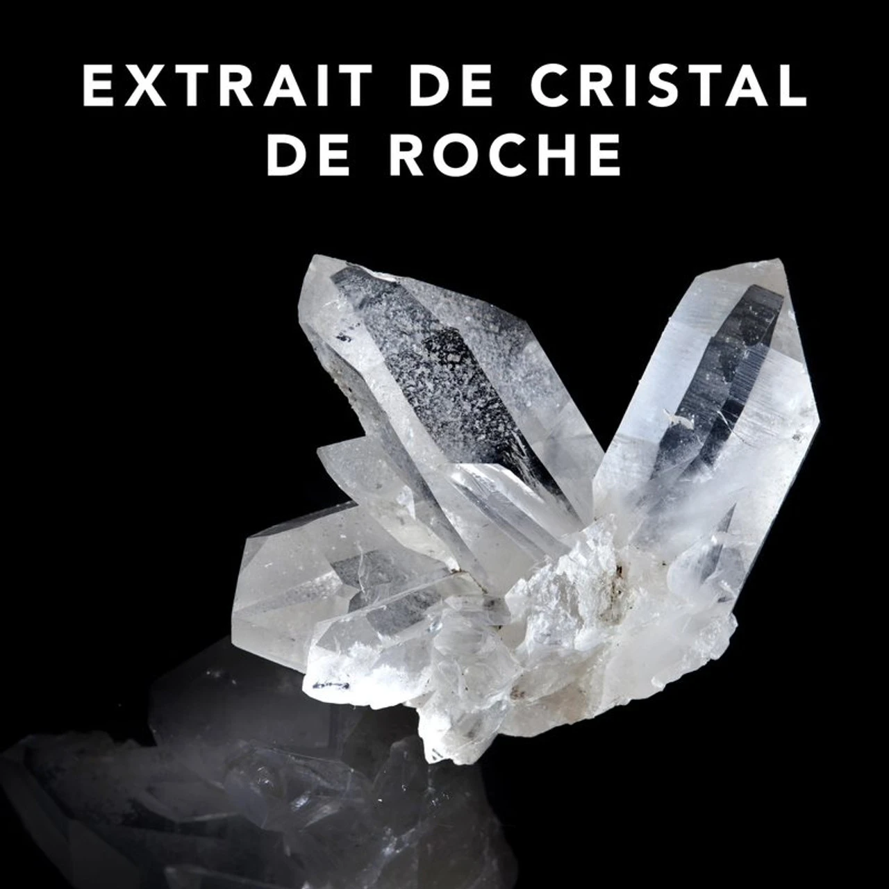 Spray Texturisant Shaper ID Sebastian 200ml – Image 5