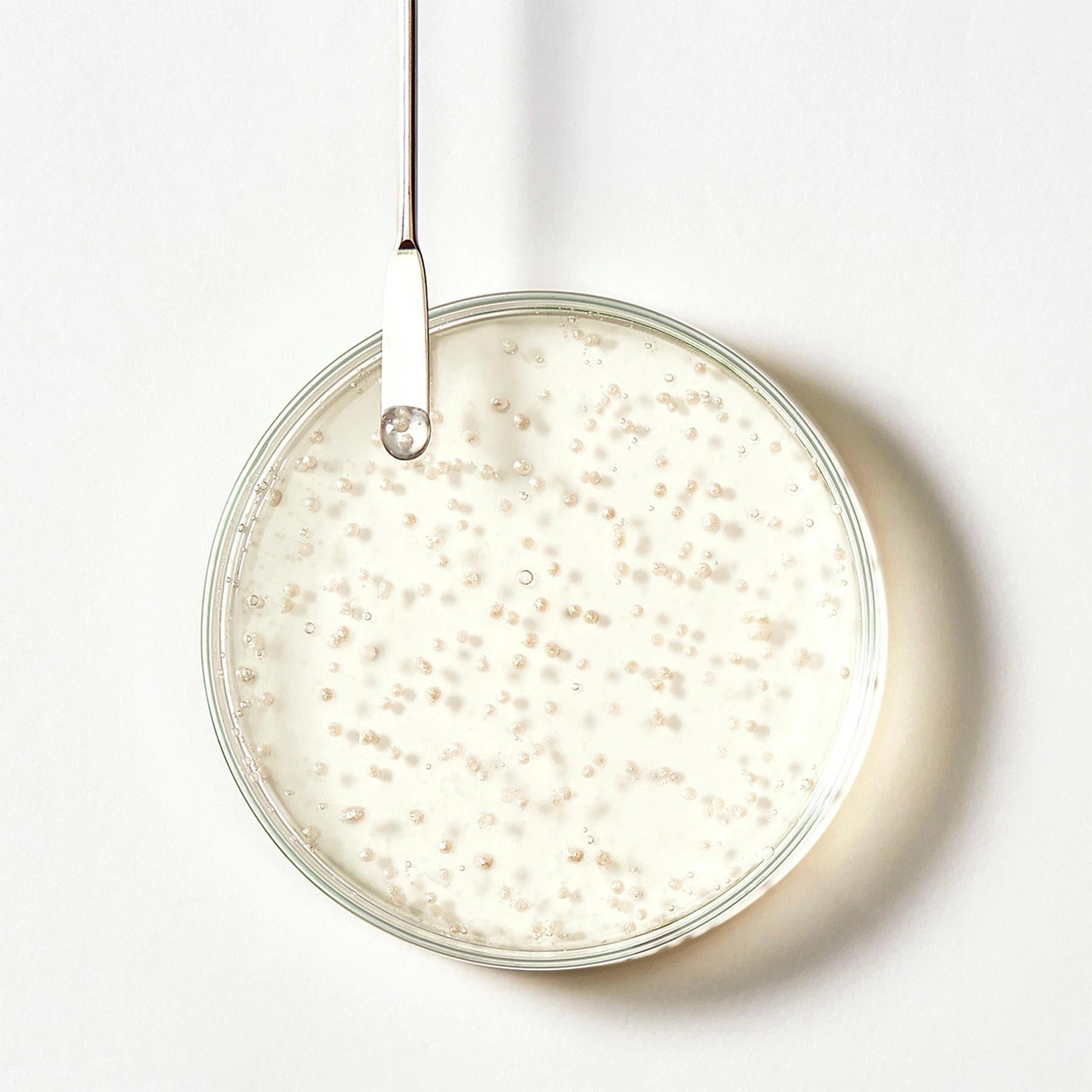 Shampooing Triphasic René Furterer 200ml – Image 2